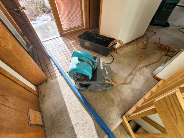 Water damage restoration experts in Kingston, NJ