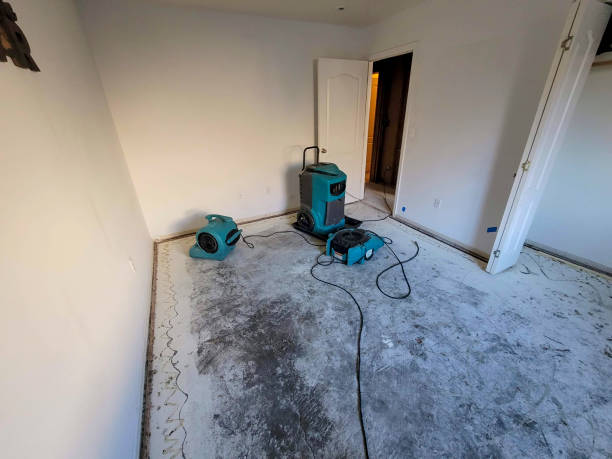 Best Flood restoration services  in Kingston, NJ