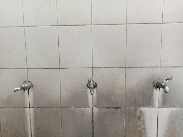 Best Water damage cleanup near me  in Kingston, NJ