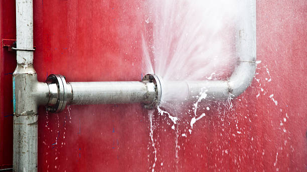 Best Carpet water damage restoration  in Kingston, NJ